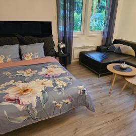 Dalen studio 3, hotel in Dalen
