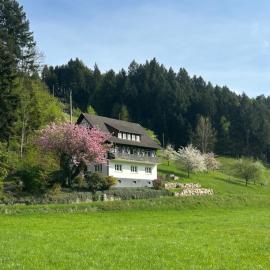 Ferienwohnung Hesselbach