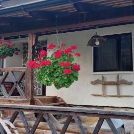 Doru' Bucovinei, hotel v mestu Moldoviţa