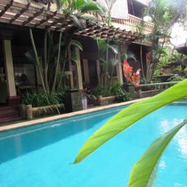 Griya Ayu Inn, hotel in Sanur