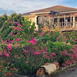 Bentong Hill Cottage