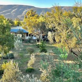 The Happy Place, private cottage with rustic pool, hotel a Van Wyksdorp