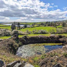 West Colla Place, hotel em Schull