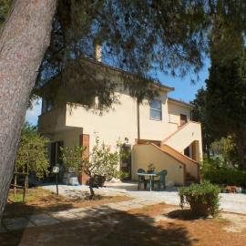 Agriturismo Mandriato Organic Farm in the Tuscan Hills