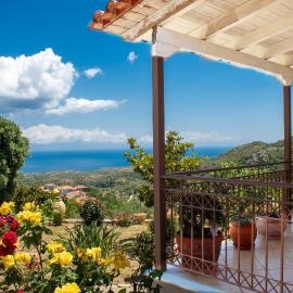 George's Panoramic View