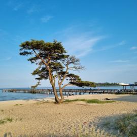 Beachfront apartment in Åhus, hotel in Åhus