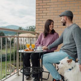 Bed & Breakfast EQUITARE RURAL, hotel em Miranda do Corvo