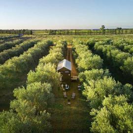 Olive Grove Retreat 2 by Tiny Away, hotel u gradu Lake Boga