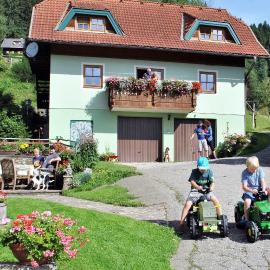 Schlintl-Hof, hotel a Liebenfels