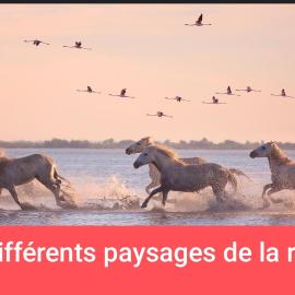 MONTPELLIER van aménagé SANS WC SANITAIRE ET CUISINE, JUSTE POUR DÉPANNER quelques nuits, PRÉVOIR UNE BATTERIE EXTERNE POUR LES TÉLÉPHONES MERCI DE BIEN LIRE LE DESCRIPTIF, hotel u gradu Monpelje