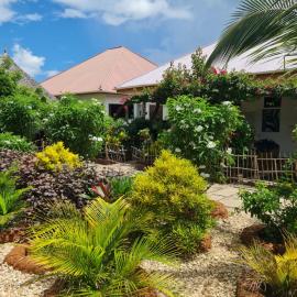 Apartments Zanz J&J Nungwi, hotel a Nungwi