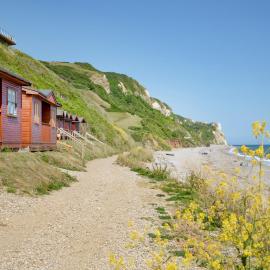 Swallow Chalet: Branscombe şehrinde bir otel