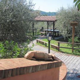 Tenuta Collalceppo