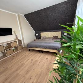 Appartement 1 - Einzimmerwohnung mit Küche und Bad, hotel u gradu Zalcgiter