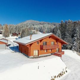 PetitChevrier - 6BR Spacious Chalet in Villars - Designed for Accessibility, хотел в Ollon