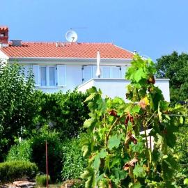 Apartments Ari i Segi