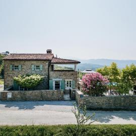 horizon 241