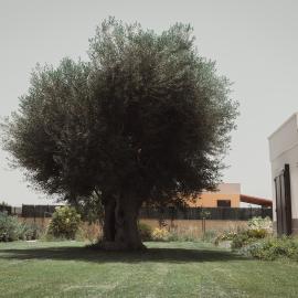 Masseria Gravame - Case Vacanza, hotell i Taranto