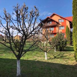 Casa cristina