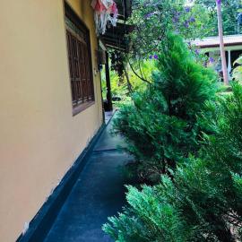 Sigiriya Mirror wall Guest house