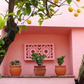 Casa do Limoeiro - sleeps up to 4 comfortably โรงแรมในเซอร์ปา