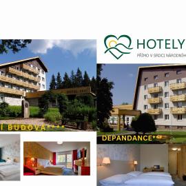 Hotel Srní a Depandance、スルニーのホテル