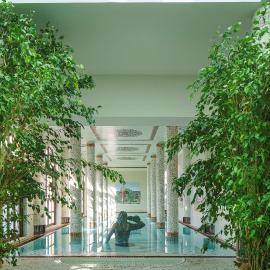 Casamicciola Terme में, होटल Palazzo Manzi Terme & Spa