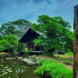 Turtle Pond Wilpattu, hotell sihtkohas Wilpattu