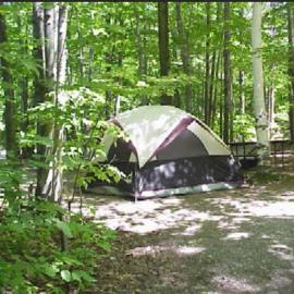 Primitive Camp Sites, hotel a Gaines
