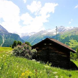 Mayen Motau - Retour a l essentiel La Forclaz, hotel v destinácii La Forclaz
