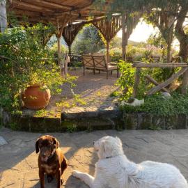 Agriturismo L'Olivara, hotel in Piano di Sorrento