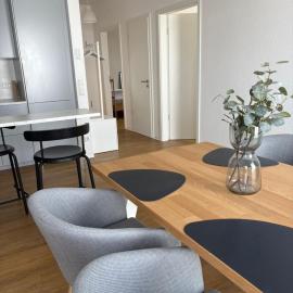 Penthouse Apartment, Hotel in Gießen