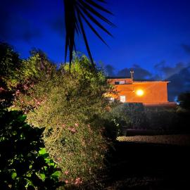 A Casa Amarela, Hotel in Capelas