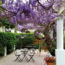 Chez Louis