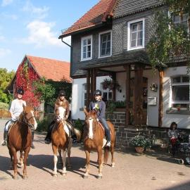 Reiterlandhof, hotel din Neukirchen
