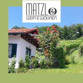 Wein & Wohnen MATZL - Ferienwohnung, hotel en Fürstenfeld