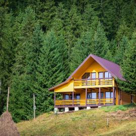 Котедж Forest house
