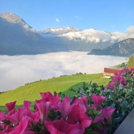 Apartment Kerer, hotel in Wald im Pinzgau