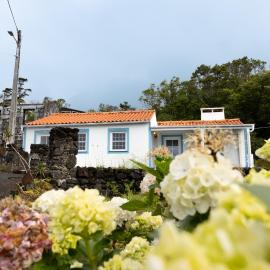 Casa da Mãe - Entre o Pico e a Maré