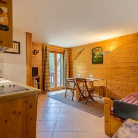 Jardin d'hiver A #1Bis - 5 guests - Ski in - Ski out, Hotel in Mussillon