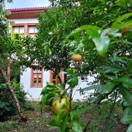 Asiye Hanım Konağı, khách sạn ở Trabzon