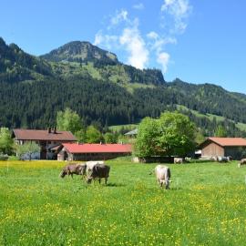 Heulandhof, hotel a Bad Hindelang