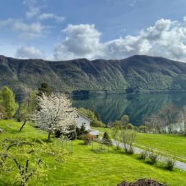 Spacious House with Fjordview, hotel v destinaci Lauvstad