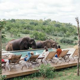 Isambane Camp – hotel w mieście Balule Game Reserve