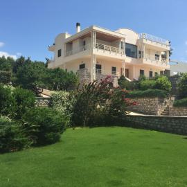 Elaianthos