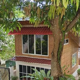 BALAY SA BUKID 1bedroom Nipa House with garden view
