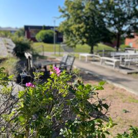 Fjord Lägenheter & Hostel Rooms: Lysekil şehrinde bir otel