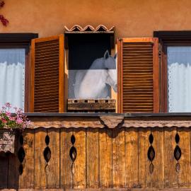 la locanda del carrettiere