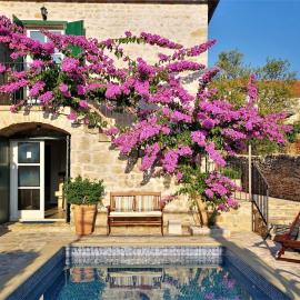 Villa Ivana、Mirceのホテル