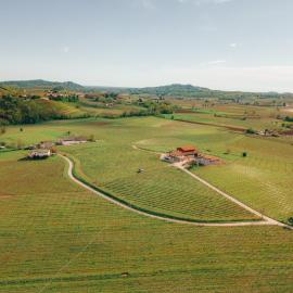 Agriturismo Borgo dei Sapori-Vini Bio Irene Cencig, hotel in Cividale del Friuli